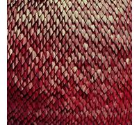 Kill The Vultures Carnelian (CD)