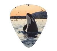 Killer Whale Plettro per Chitarra 12 Plettri Moda Personalizzato Bass Pick Durevole Chitarra Elettrica Plettri Accessori per Strumenti