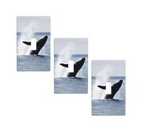 Killer Whale Stampa Singolo Toggle Pannello Parete Interruttore Luce Piastra Coperture Decorazione Della Parete Decorazione Della Casa Per Cucina Bagno Camera Da Letto Decor 6,9 x 11,4 Pollici.