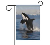 Killer Whale Summer Garden Flag Double Face 30,5 x 45,7 cm Bandiere da cortile Primavera Sole Bandiere da giardino Stagionale Benvenuto all'aperto Bandiera Decorazione