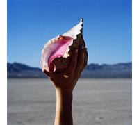 The Killers Wonderful Wonderful (Vinyl LP) 12" Album