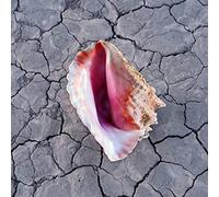 Killers - Wonderful Wonderful: Deluxe Edition