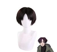 Killing Stalking Yoon Bum Yoonbum Parrucca corta marrone nero Costume cosplay Levi Ackerman Parrucche sintetiche termoresistenti MZ-696