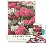 Killingworth Connecticut Puzzle per adulti da 1000 pezzi | Staycation: un modo per passare il tempo una collezione di artisti e opere d'arte che rafforzano l'amore tra le coppie.