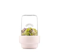Kilner Set per germogliare 0,5 litri