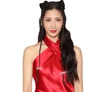 Kim Eun-Jae (Red Outfit) Half Body Buddy Cutout