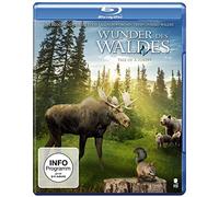 Kim Saarniluoto,Ville Suhonen - Wunder des Waldes - Tales of a Forest (Prädikat: Wertvoll)