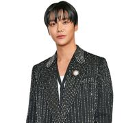 Kim Seok-Woo (Black Suit) Half Body Buddy Cutout