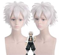 Kimetsu no Yaiba Shinazugawa Sanemi Parrucca Cosplay Lama di demone Uccisore Corto Capelli grigi Argento Halloween Parrucche anime