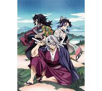 Kimetsu No Yaiba Tv Animation Series Hashira Training Arc Volume 2 <Limite (DVD)
