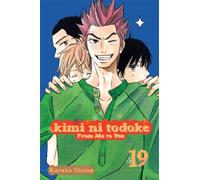 Kimi ni Todoke: From Me to You, Vol. 19: Volume 19
