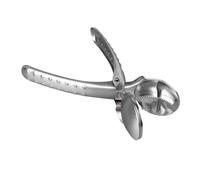 KIMISS Apri di Castagno 304 Strumento Nutcracker in Acciaio Inossidabile - Casta di Castagno SH Portatile con Impugnatura Ergonomica Facile Apertura del Guscio di Dado