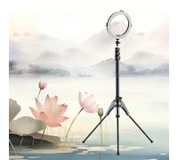 KIMISS Treppiede con Supporto per Luce - Supporto per Luce Video in Lega di Alluminio da 189 Cm/74,4 Pollici con Vite da 1/4 di Pollice, capacità di Carico di 5 Kg LED, Softbox, Riflettore (GREY)
