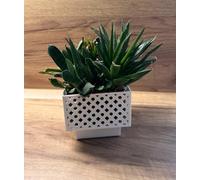 Kimmel Set di 2 vasi rettangolari, 13 cm, colore bianco, per orchidee, vaso decorativo