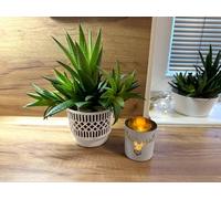 Kimmel Set di 3 vasi classici per piante grasse, 11 cm, colore bianco