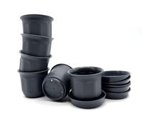 Kimmel Vaso da fiori da 6 cm, con sottovasi, set da 6 pezzi, colore: grigio