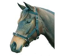 Kincade Cavezza per Lavoro alla Corda (WB413)