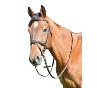 KincadeClassic Semplice Pelle Briglia per Cavalli con Redini (WB2180)