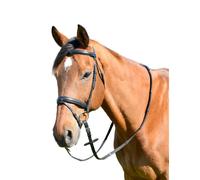 KincadeClassic Semplice Pelle Briglia per Cavalli con Redini (WB2180)