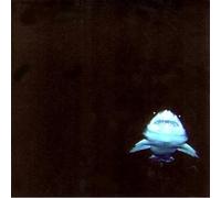 Kind Of Like Spitting - In The Red