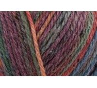 King Cole Homespun Prism Aran Filato Da Maglieria 50g 6253 Bacche Miste
