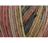 King Cole Homespun Prism Aran Filato Da Maglieria 50g 6257 Heathland