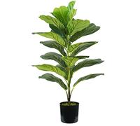 King Collection PIANTA FICUS LYRATA H. 75 cm 21 FOGLIE