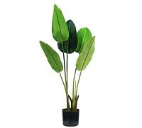 King Collection PIANTA STRELITZIA H. 100 cm 5 FOGLIE