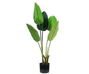 King Collection PIANTA STRELITZIA H. 100 cm 5 FOGLIE
