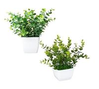 King Collection PIANTINE ARTIFICIALI SET 2 PZ IN SCATOLA TRASPARENTE DI ACETATO