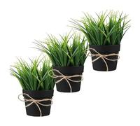 King Collection PIANTINE ARTIFICIALI SET 3 PZ IN SCATOLA TRASPARENTE DI ACETATO