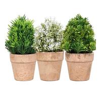 King Collection PIANTINE ARTIFICIALI SET 3 PZ IN SCATOLA TRASPARENTE DI ACETATO