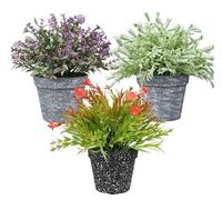 King Collection PIANTINE ARTIFICIALI SET 3 PZ IN SCATOLA TRASPARENTE DI ACETATO