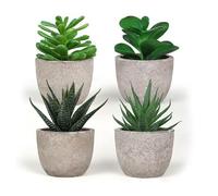 King Collection PIANTINE ARTIFICIALI SET 4 PZ IN SCATOLA TRASPARENTE DI ACETATO