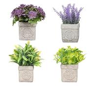 King Collection PIANTINE ARTIFICIALI SET 4 PZ IN SCATOLA TRASPARENTE DI ACETATO