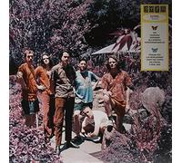 King Gizzard and the Lizard Wizard - Butterfly 3000 [Swedish]