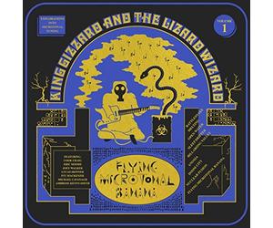 King Gizzard & The Lizard Wizard - Flying Microtonal Banana