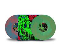King Gizzard & The Lizard Wizard - Live In Asheville 19