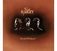 King Harry - Divided We Stand - EMI - 1C 064-06 435