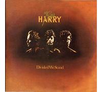 King Harry - Divided We Stand: Limited