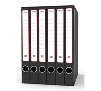Gruppo registratori Sestetto - con 6 cartelle 3 lembi - 25,5x34,5 cm - dorso 23 cm - grigio - Rexel