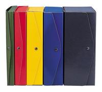 ESSELTE - 00023406 - Scatola archivio Project - dorso 6 cm - 25 x 35 cm - giallo - Esselte - 29539 - Conf. da 5 Pz. - 00023406