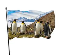 King Penguins Snow Mountain Garden Flag 3x5 FT Famiglia di uccelli animali Polar sull'Isola del Sud Bandiere da cortile in poliestere Casa Patio Prato Banner di auguri per interni ed esterni