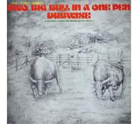 King Tubby's Two Big Bull in a One Pen (Dubwise) (CD) Album
