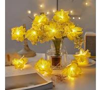 KINGCOO Filo di luci a LED a fibra ottica, mini fuochi d'artificio, per interni ed esterni, luci decorative a batteria, per camera da letto, matrimoni, feste di Natale, Pasqua, cottage (bianco, 6 m
