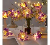 KINGCOO Filo di luci a LED in fibra ottica, mini fuochi d'artificio, per interni ed esterni, luci decorative a batteria, per camera da letto, matrimoni, feste di Natale, Pasqua, cottage (viola, 10 m