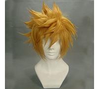 Kingdom Hearts Roxas Parrucca Ventus Cosplay Parrucca 30 Cm Breve Rettilineo Capelli Sintetici Uomo Gioco Anime Costume Party Parrucca Regalo Golden Ventus