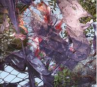 Kingdom - Tears In The Club