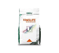 Kinglife 20-20-20, NPK 20-20-20 + microelementi (10 Kg), concime idrosolubile per piante e fiori
