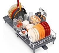 KINGRACK Scolapiatti espandibile e pieghevole, in acciaio inox, con portaposate, colore: grigio